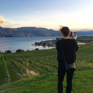 Meet your Posher, Lauren